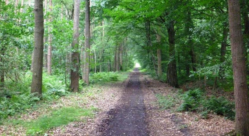 B&B Woodside Torhout Dış mekan fotoğraf
